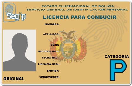 Guía Para Conseguir La Licencia De Conducir En Bolivia Guía Para Conseguir La Licencia De Conducir En Bolivia